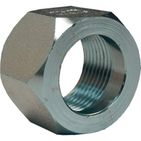 Dixon<sup>®</sup> Mining Hex Nut, 1", Zinc Plated, NPT Thread NJE824 | Equipment World