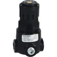 Wilkerson Miniature Regulator R03, 1/8" NPT, 300 psi Max. PSI, Standard Equipment World