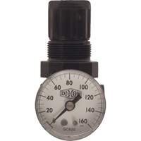 Series 1 Miniature Regulator, 1/8" NPT, 100 psi Max. PSI, Standard Equipment World