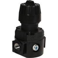 Wilkerson Compact Regulator R16, 1/4" NPT, 300 psi Max. PSI, Standard Equipment World