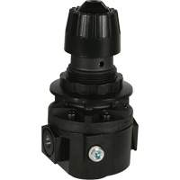 Wilkerson Regulator R26, 3/8" NPT, 300 psi Max. PSI, Standard Equipment World