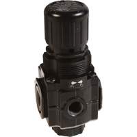 Series 1 Manifold Regulator, 1/4" NPT, 150 PSI Max. PSI, Standard Equipment World