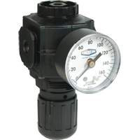 Series 1 Compact Regulator, 1/2" NPT, 150 PSI Max. PSI, Standard Equipment World