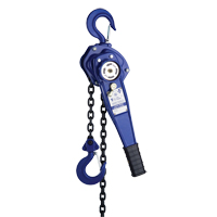 Lever Hoist with 3' Chain, 3' Lift, 500 lbs. (0.25 tons) Capacity Equipment World