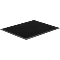 Tapis Gritstop Fingermat, Caoutchouc, Grattoir Type, Motif Textur&eacute;, 2' x 2-2/3', Noir Equipment World