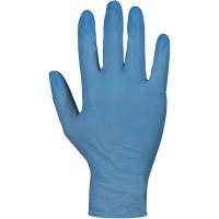 KeepKleen&reg; RDNPF Disposable Gloves, Large, Nitrile, 4-mil, Powder-Free, Blue, Class 2 Equipment World
