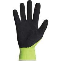 Dexterity&reg; Coated Gloves, 10, Latex Coating, 13 Gauge, Polyester Shell Equipment World