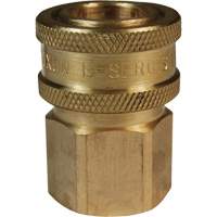 DQC E-Series Straight-Through Interchange Coupler, Brass, 3/4", Female NPTF, 1700 PSI Equipment World