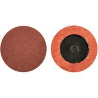 Lock Back Sanding Discs