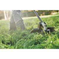 Max* Cordless Brushless Attachment-Capable String Trimmer, 17", Battery Powered, 60 V Equipment World