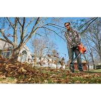 3-in-1 VacPack Leaf Blower/Vacuum/Mulcher, 250 MPH Output, Electric Equipment World