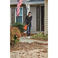 3-in-1 VacPack Leaf Blower/Vacuum/Mulcher, 250 MPH Output, Electric Equipment World