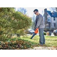 Leaf Blower, 180 MPH Output, Electric Equipment World