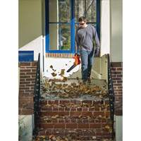 Leaf Blower, 180 MPH Output, Electric Equipment World