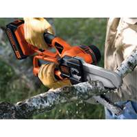 20V Max* Cordless Alligator&reg; Lopper Equipment World