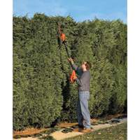 Max* Cordless Pole Hedge Trimmer Kit Equipment World