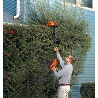Max* Cordless Pole Hedge Trimmer Kit Equipment World