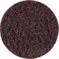 Standard Abrasives Surface Conditioning Discs, 2" Dia., Coarse Grit Equipment World