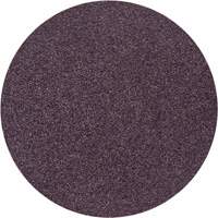 PSA Sanding Discs