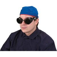 Lunettes &agrave; coque, Lentille 5,0, Anti-&eacute;gratignures, Ventilation Ferm&eacute; Equipment World