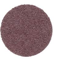 Disque PSA en toile 348D, 20" dia., Grain 50, Oxyde d'aluminium Equipment World