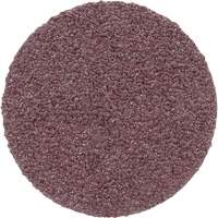 Meule en toile PSA 348D, 20" dia., Grain 60, Oxyde d'aluminium Equipment World