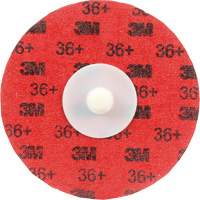 Disque &agrave; d&eacute;ligner durable II Roloc Cubitron, 3" dia., Grain 36+, C&eacute;ramique Equipment World