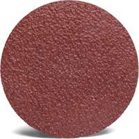 Disque abrasif Roloc 782C 3M, 2" dia., Grain 36+, C&eacute;ramique Equipment World