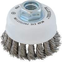 AllSteel Wire Brush, 3" Dia. x 5/8"-11 Arbor Equipment World