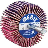 Shank Mounted Mini Flap Wheel, Ceramic Alumina, 40 Grit, 2" x 1" x 1/4" Equipment World