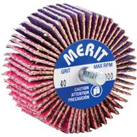 Threaded Mini Flap Wheel, Ceramic Alumina, 40 Grit, 2" x 1" x 1/4"-20 Equipment World