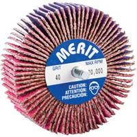 Threaded Mini Flap Wheel, Ceramic Alumina, 40 Grit, 3" x 1" x 1/4"-20 Equipment World