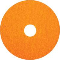 BlazeX F980 Fiber Disc, Ceramic Alumina, 36, 5" Dia x 7/8" Arbor Equipment World