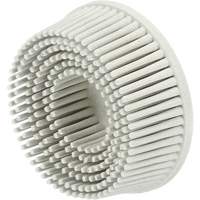 Abrasive Bristle Discs