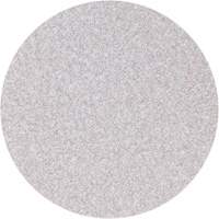 Hook & Loop Sanding Disc, 5" Dia., P80 Grit, Aluminum Oxide, B-Weight Equipment World