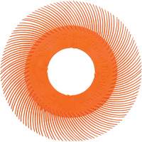 Scotch-Brite Type C Precision Radial Bristle Brush PN-RB without Adapter, Ceramic, 80+ Grit, 6" Dia. Equipment World