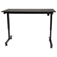 Adjustable Stand-Up Desk, Stand-Alone Desk, 45-1/4" H x 29-1/2" D, Black Equipment World