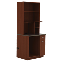 Modular Cabinet, Melamine, 39" H x 36" W x 25" D, Mahogany Equipment World