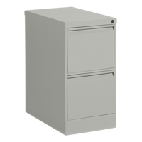 Vertical Filing Cabinet, Steel, 2 Drawers, 15-1/7" W x 25" D x 29" H, Grey Equipment World
