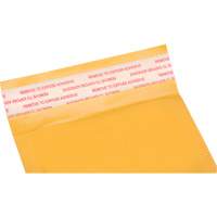 Enveloppes postales coussinées, Kraft, 4" la x 8" lo PG240 | Equipment World