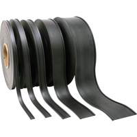 Porte-&eacute;tiquette, Magn&eacute;tique, 600" lo x 2" la Equipment World