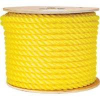Corde jaune tress&eacute;e 5/8", Polypropyl&egrave;ne, 200' Equipment World