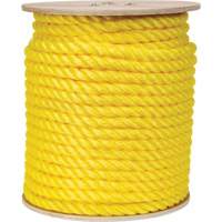 Corde jaune tress&eacute;e, Polypropyl&egrave;ne, 300' Equipment World