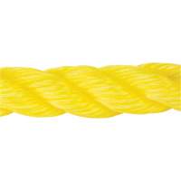 Corde jaune tress&eacute;e, Polypropyl&egrave;ne, 300' Equipment World