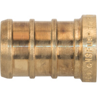 Lead-Free Pipe Plug, Pipe, 1/2" Dia., Brass Equipment World