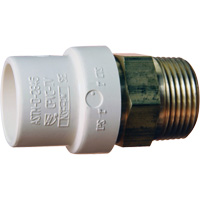Threaded Pipe Adapter, Hub x MPT, 1" Dia., Brass/CPVC Equipment World