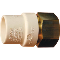 Threaded Pipe Adapter, Hub x FPT, 1" Dia., Brass/CPVC Equipment World