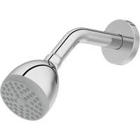 One-Function Showerhead Equipment World