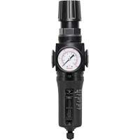 Filtre/r&eacute;gulateur drain manuel avec bol en m&eacute;tal Modulair 300, 1/4" NPT, 250 PSI, Capacit&eacute; de 5,1 oz liq. Equipment World