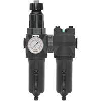 Filtre/r&eacute;gulateur + filtre coalescent drain manuel avec bol en m&eacute;tal Modulair 400, 1/4" NPT, 200 psi, Capacit&eacute; de 9,1 oz liq. Equipment World